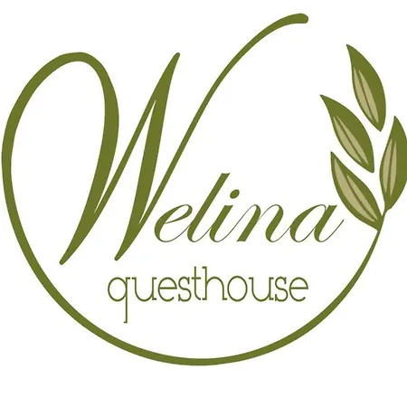 Welina Guesthouse Volos Esterno foto